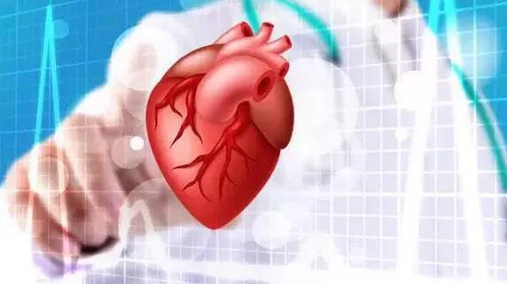 1607918403106779.jpg 1607918403106779.jpg