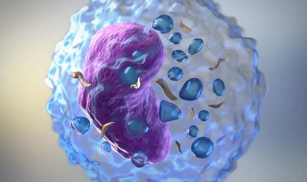 1607928957755429.jpg 微信圖片_20201214144916.jpg