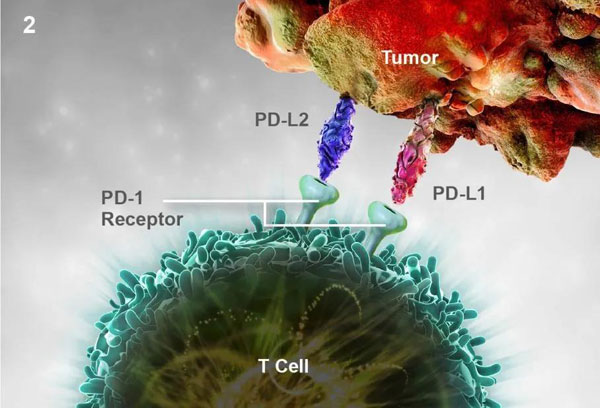 1608174810638014.jpg 微信圖片_20201217105607.jpg