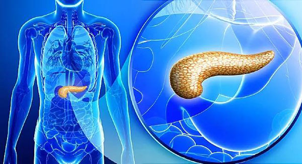 1608263978822612.jpg 1.jpg