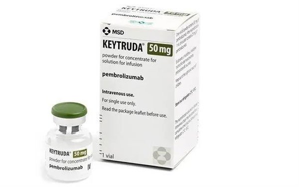 1608694629880475.jpeg 1.jpeg