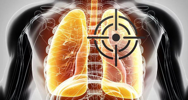 1608695295133546.jpeg 2.jpeg