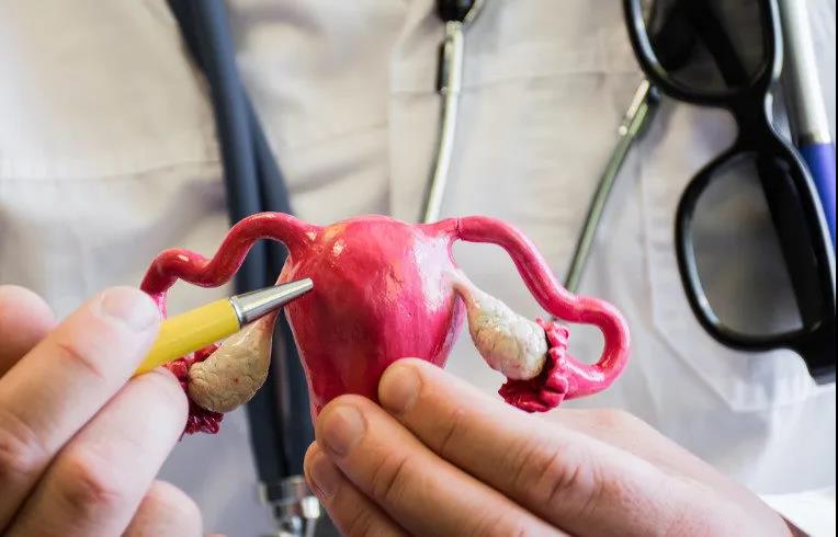 1609751097806613.jpg 微信圖片_20210104165646.jpg