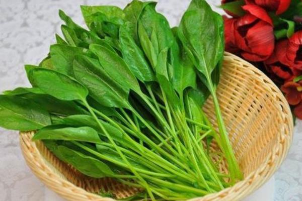 1609836938704533.jpg 1417426213.jpg