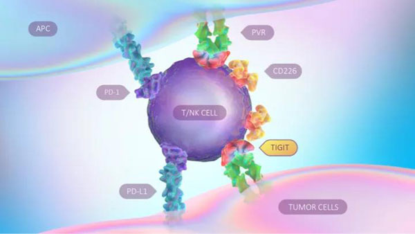 1610077084601327.jpg 微信圖片_20210108113340.jpg