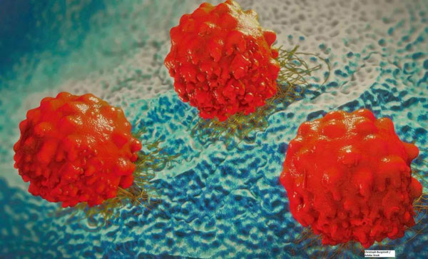 1613803558295584.jpg 微信圖片_20210220144244.jpg