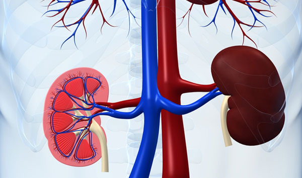 1615885103783069.jpg 4903721-thumb.jpg