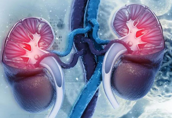 1616401774899897.jpg 微信圖片_20210322162728.jpg