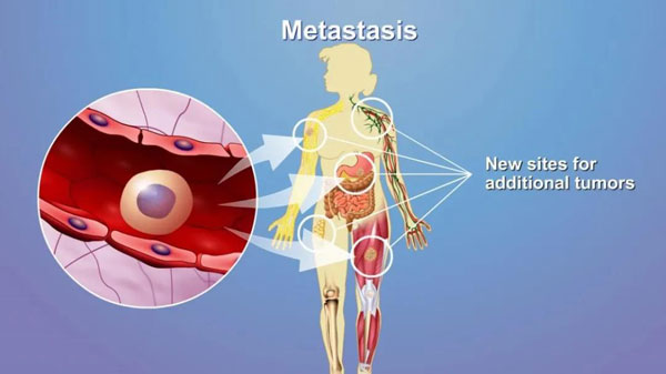 1617336247466087.jpg 微信圖片_20210402115337.jpg