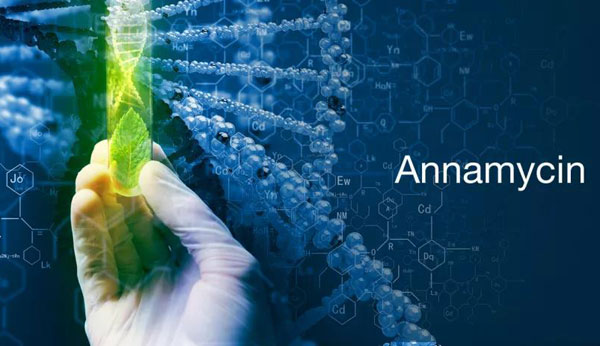 1617336253239271.jpg 微信圖片_20210402115340.jpg