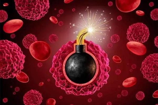 1617957010428338.jpg 微信圖片_20210409161500.jpg