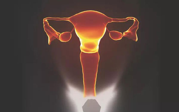 1618475648775628.jpg 微信圖片_20210415163104.jpg