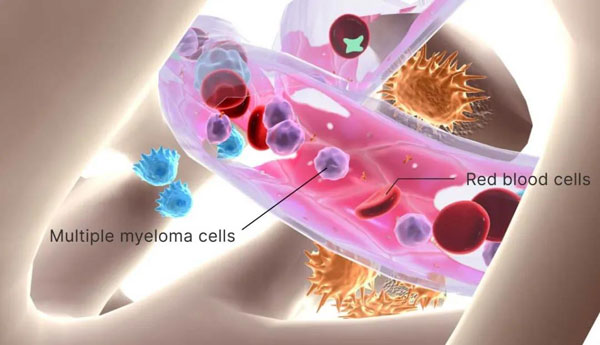 1619513826368367.jpg 微信圖片_20210427165427.jpg