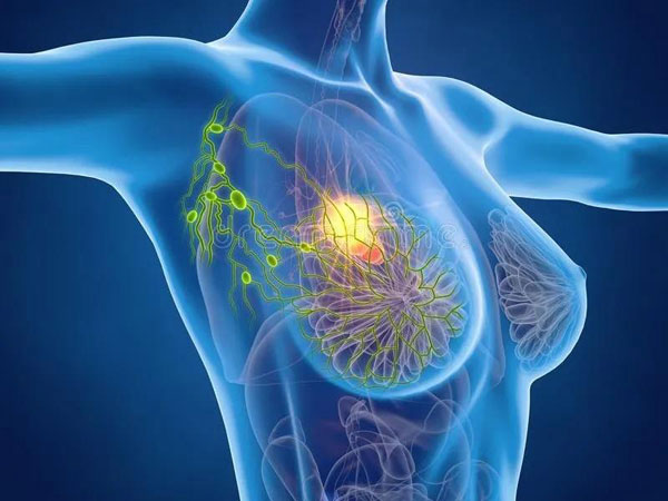 1620875787341616.jpg 微信圖片_20210513110957.jpg