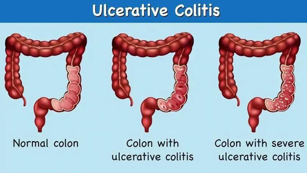 1622605280918829.jpg 微信圖片_20210602112434.jpg