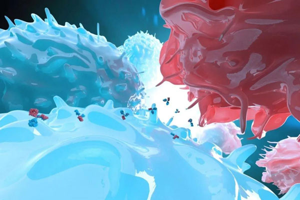 1622775289838059.jpg 微信圖片_20210604104521.jpg