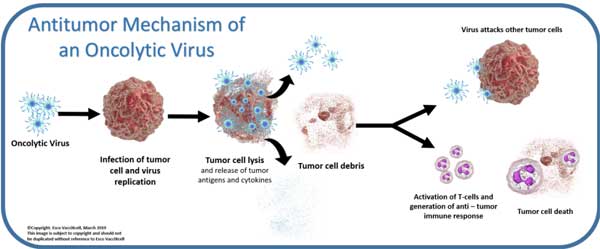 1623813493392137.jpg 微信圖片_20210616111229.jpg