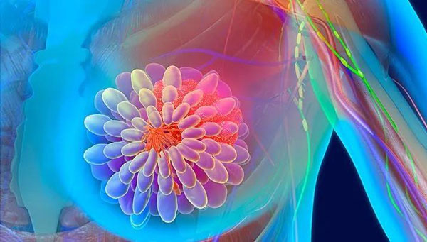 1627615990404133.jpg 微信圖片_20210730112259.jpg