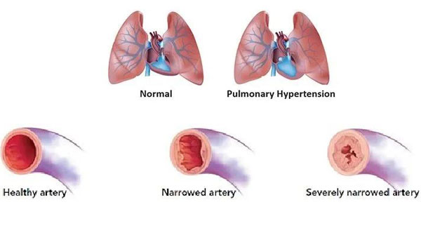 1628048028748957.jpg 微信圖片_20210804112609.jpg