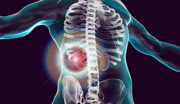 1629170869898840.jpg 微信圖片_20210817112348.jpg