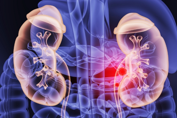 1629258390549358.jpeg 微信圖片_20210818113807.jpeg