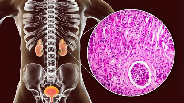 1629343926166036.jpg 微信圖片_20210819112900.jpg