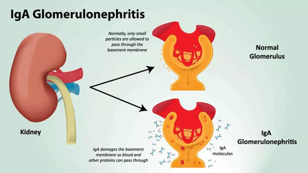 1629343936857183.jpg 微信圖片_20210819112904.jpg