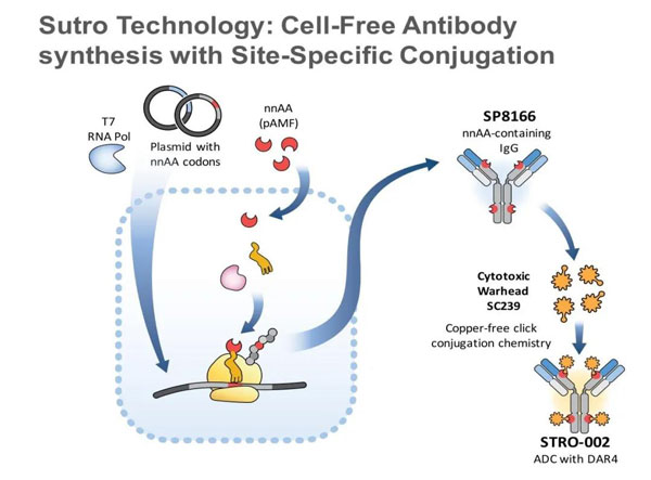 1629706122558741.jpg 微信圖片_20210823160556.jpg