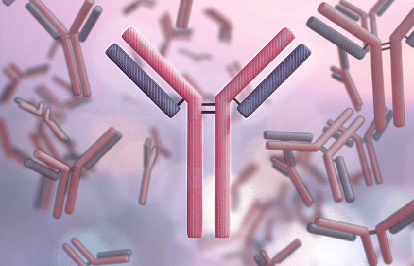 1630899032965352.jpg 微信圖片_20210906112609.jpg