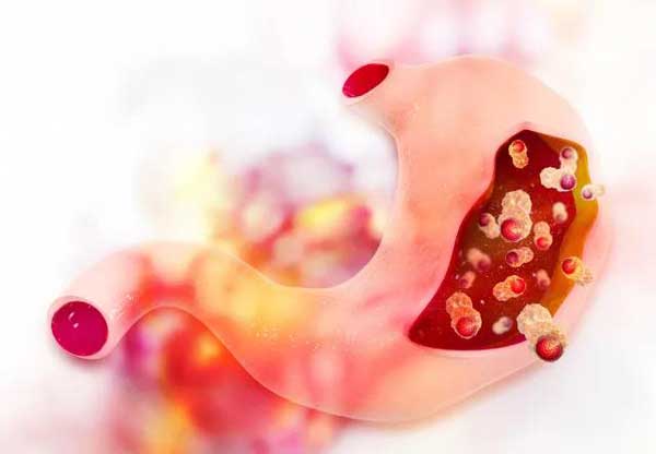 1631847236554774.jpg 微信圖片_20210917104352.jpg