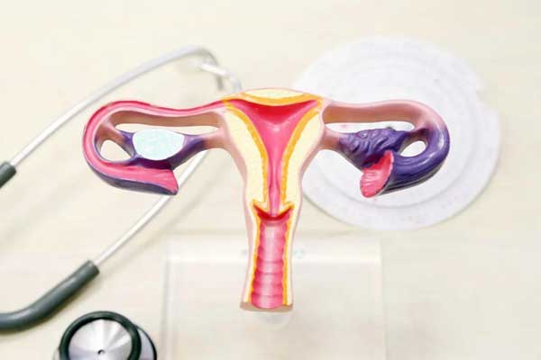 1632384568743383.jpg 微信圖片_20210923155500.jpg