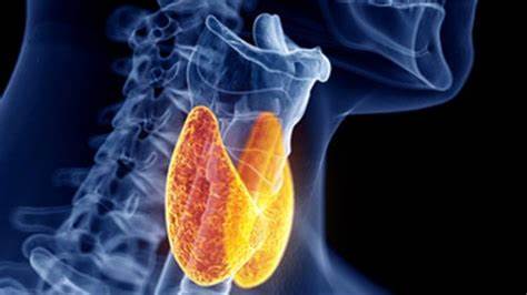 甲狀腺癌 (5).jpg