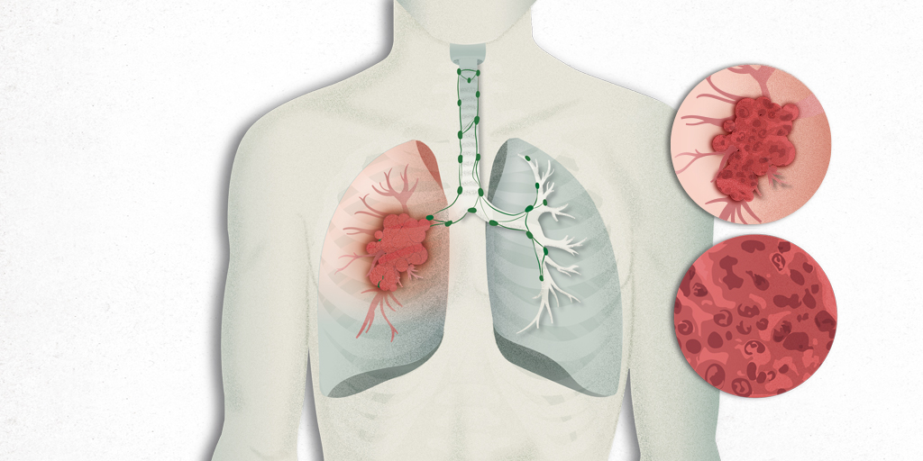 1637203340205224.jpeg 8c1b1.jpeg