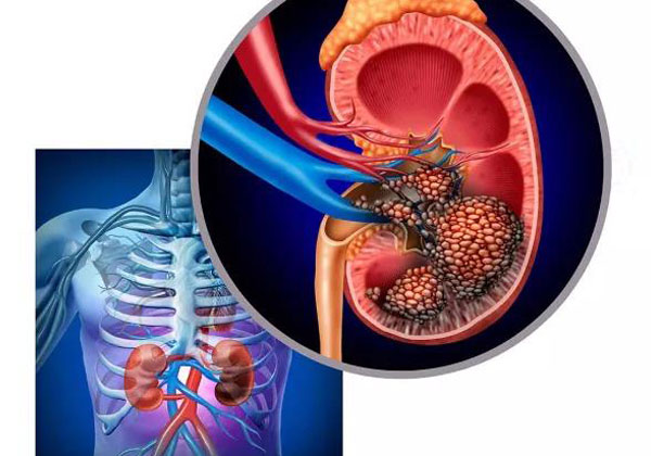 1637551776591539.jpg 未標題-1.jpg