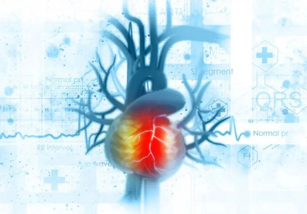 1637552405420975.jpg 微信圖片_20211122113506.jpg