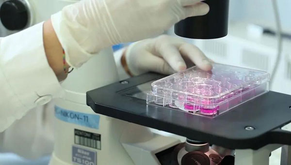 1637552418484619.jpg 微信圖片_20211122113511.jpg