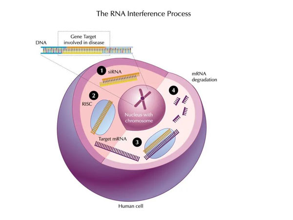 1637552941204573.jpg 微信圖片_20211122114548.jpg