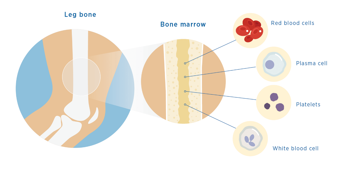 1637633577747570.png MM87.png