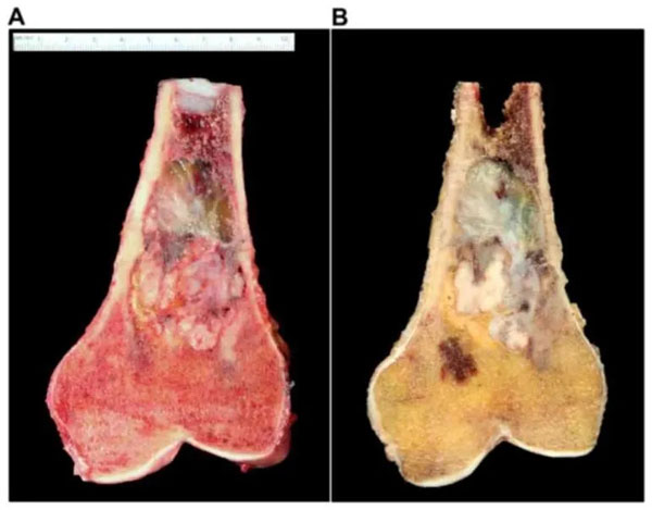 1638158384611032.jpg 111.jpg