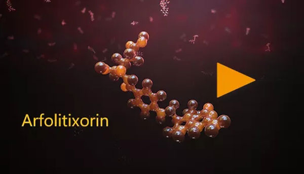 1638166746641856.jpg 125.jpg