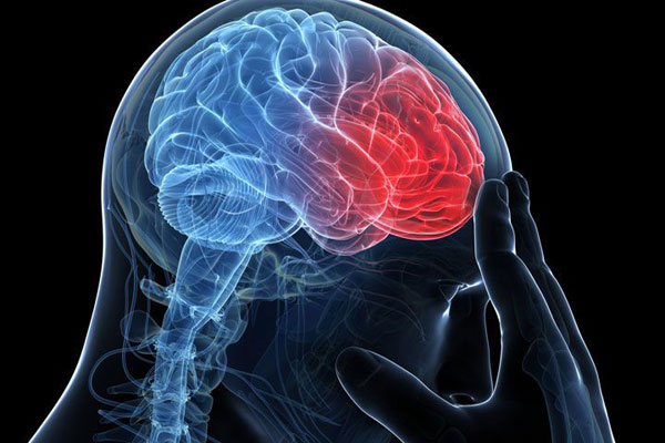 1638244625311009.jpg 20211124 (1).jpg