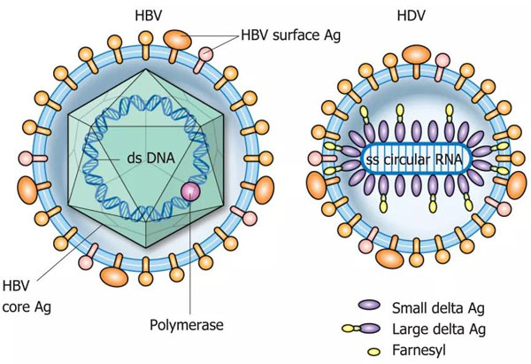 1638324616841132.jpg 微信圖片_20211201100637.jpg