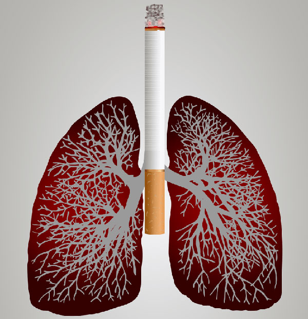 1639712130171375.jpg ad8ab377149a48079189c7ed67423501.jpg