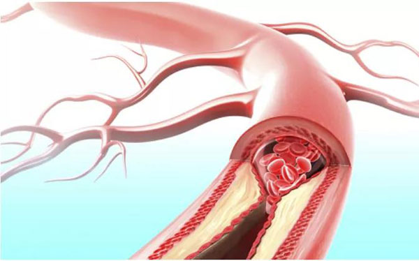 1640243875665673.jpg 微信圖片_20211223151500.jpg