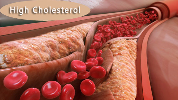 1640330418626356.jpg nZcvtrP7oE0yS1O1BY7TAIYS3NJq5Jd5.jpg