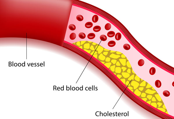 1640588688381191.jpg 20211223 (2).jpg