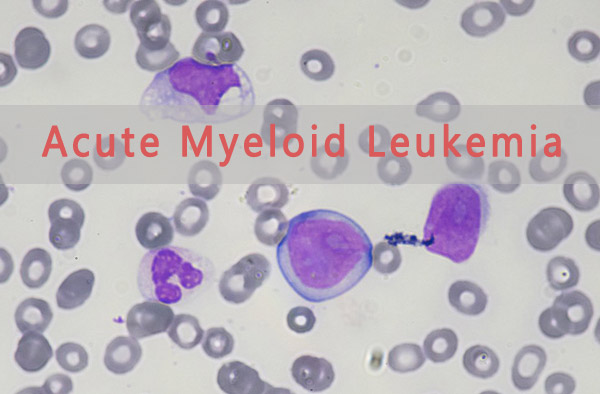 1640836019937687.jpg 20211229a (2).jpg