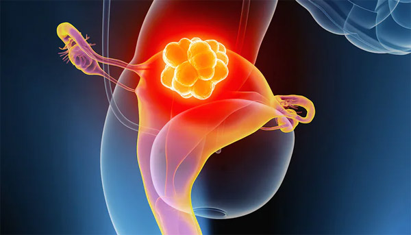 1644394805615911.jpg 20220208a.jpg