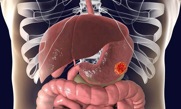 1645068294697362.jpg 20220216a.jpg