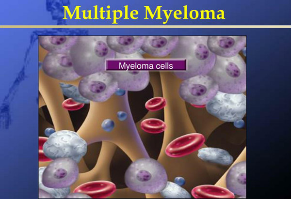 1646359033907171.jpg 20220301b.jpg